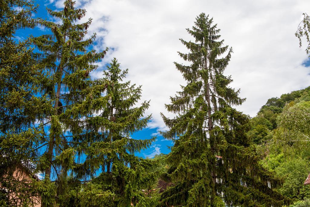 Hotel Gec Zaprešić Zewnętrze zdjęcie